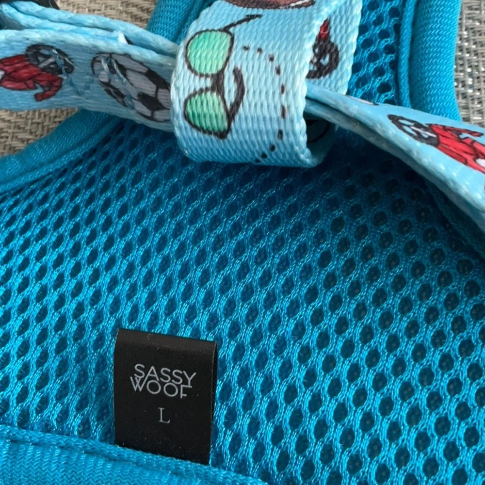 Sassy Woof Blue Sports-Themed Small Pet Harness